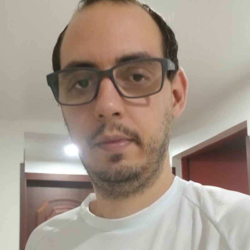 Gustavo Decarlo Ferreira Secchim
